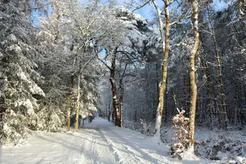 Opening Relatiewandeling Beetsterzwaag