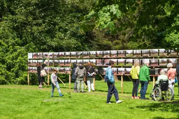 Kunstweekend Beetsterzwaag Perspectief