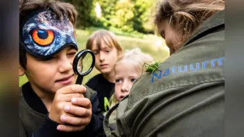 Kriebelbeestjessafari op De Slotplaats