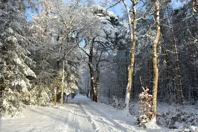 Opening Relatiewandeling Beetsterzwaag