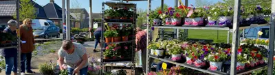 Bloemetjesmarkt